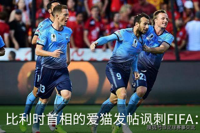 比利时首相的爱猫发帖讽刺FIFA：“红牌？”我照样继续踢！